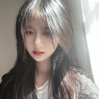 极地守护犬